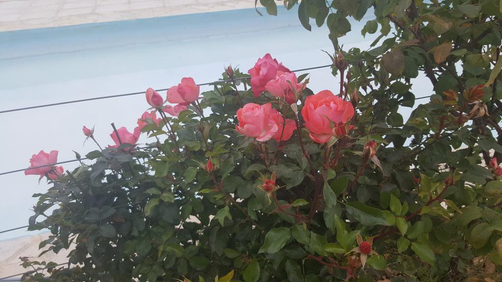 ホテルFinca Los Almendros Tunuyán エクステリア 写真