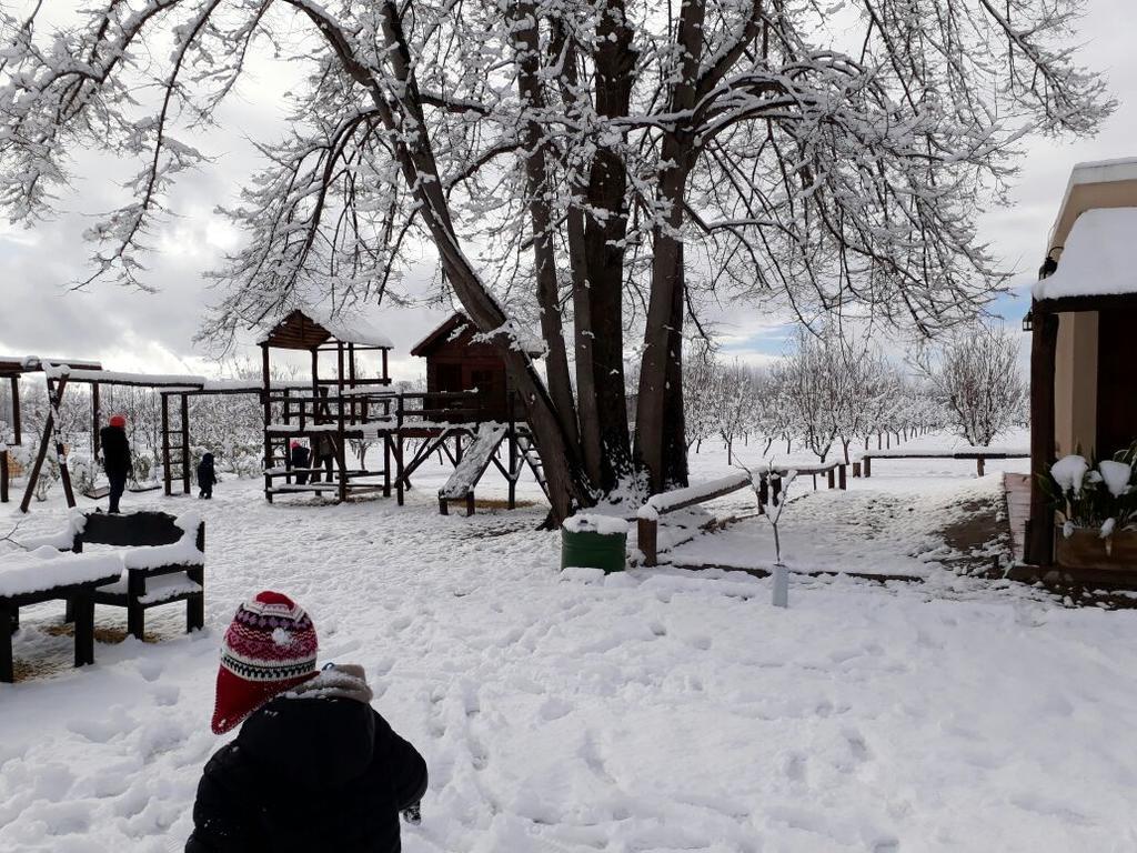 ホテルFinca Los Almendros Tunuyán エクステリア 写真