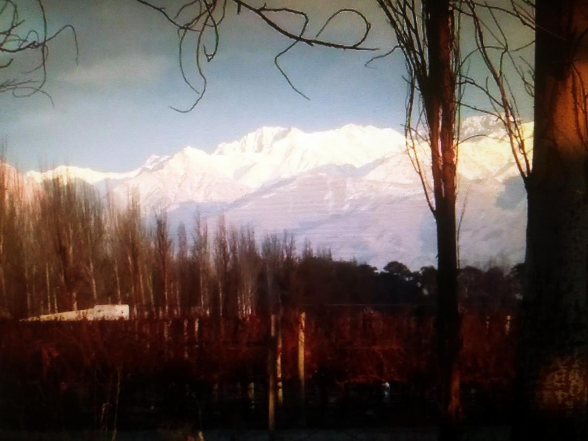ホテルFinca Los Almendros Tunuyán エクステリア 写真